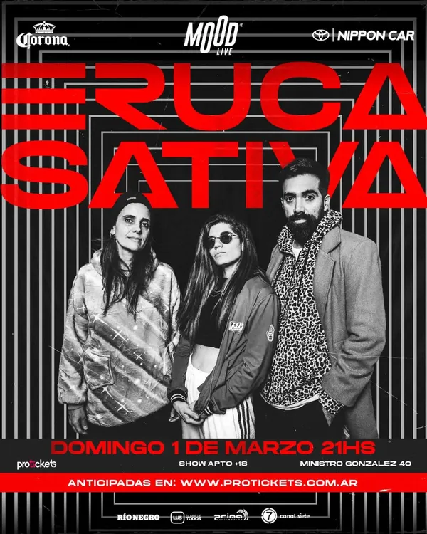 FB_IMG_1768324448488